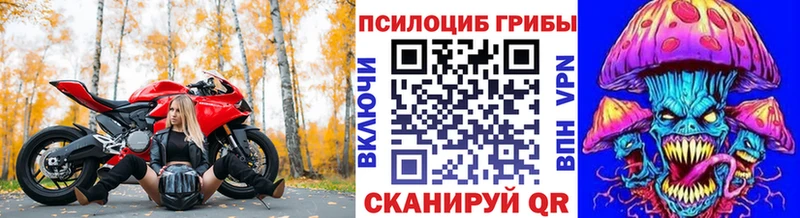 Галлюциногенные грибы MAGIC MUSHROOMS  Тамбов 